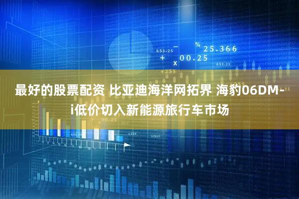 最好的股票配资 比亚迪海洋网拓界 海豹06DM-i低价切入新能源旅行车市场
